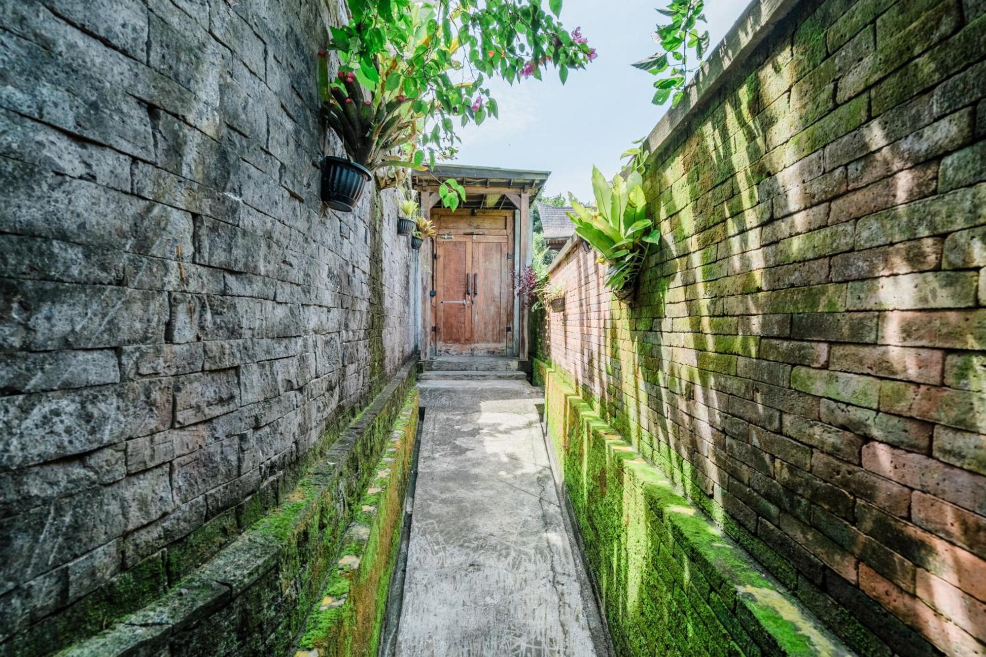 Villa Picture - Perfect - Architects Dream Ubud (Bali)